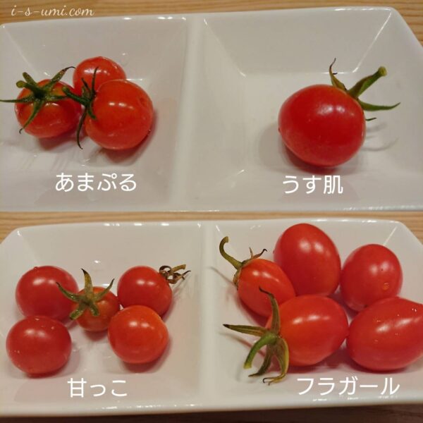 ミニトマト食べ比べ 